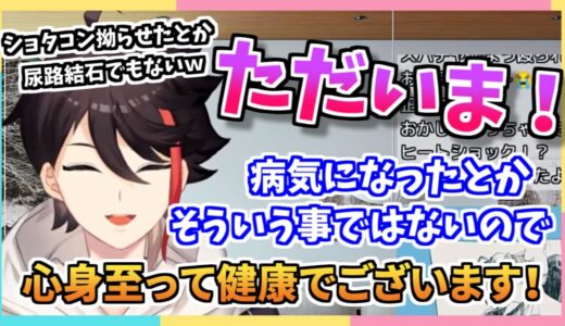 復帰配信で活動をお休みしていた事について話す三枝明那【にじさんじ切り抜き】