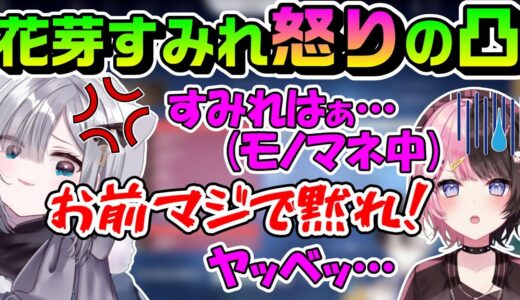 花芽すみれになりすましマザーチームに混ざるひなーの、見かねた本人が配信中に凸【ぶいすぽっ！/かみと/橘ひなの/花芽すみれ/花芽なずな/おれあぽ/おれあぽ一家/切り抜き/crカップ】