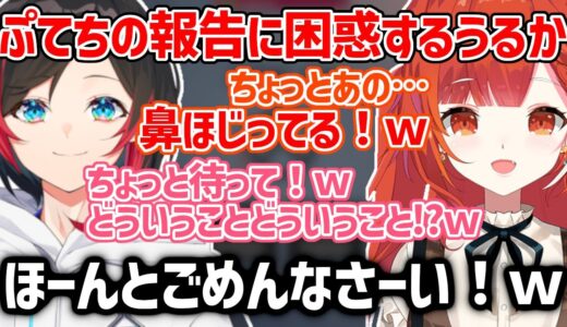 ぷてちの報告に困惑するうるか【ラトナプティ/うるか/切り抜き】