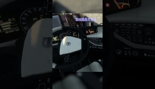 横転するなか先輩に正面衝突されオーバーキル #vtuber #切り抜き #shorts #eurotrucksimulator